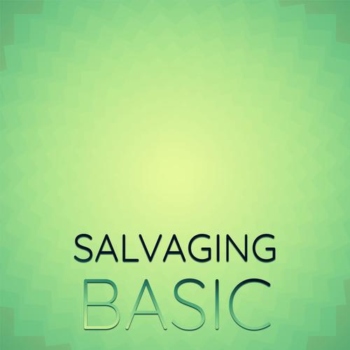 Salvaging Basic