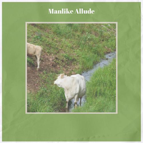 Manlike Allude