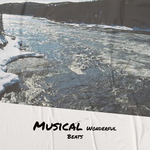 Musical Wonderful Beats