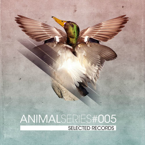 STD 105: Animal Series Vol. 5