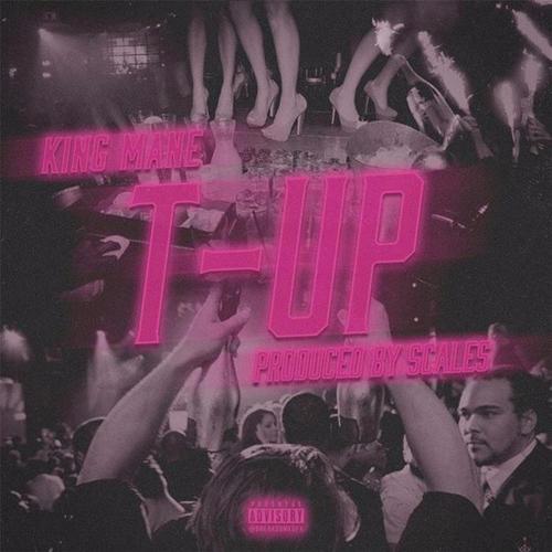 T-Up (Explicit)