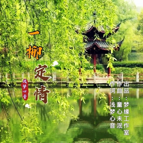 一柳定情