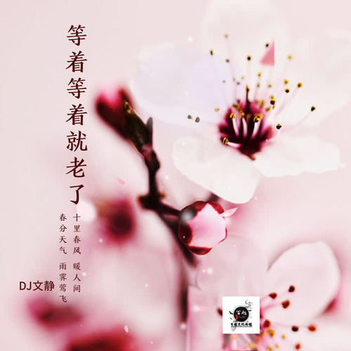 等着等着就老了