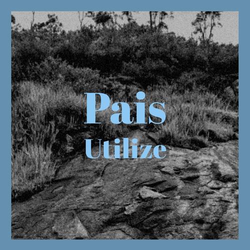 Pais Utilize