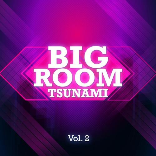 Bigroom Tsunami, Vol. 2