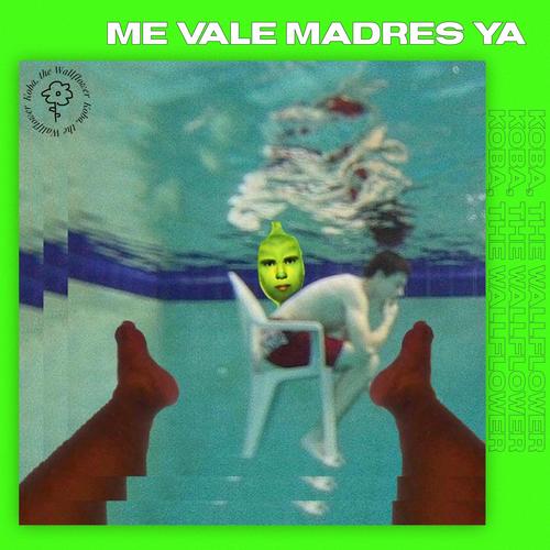 ME VALE MADRES YA (Explicit)