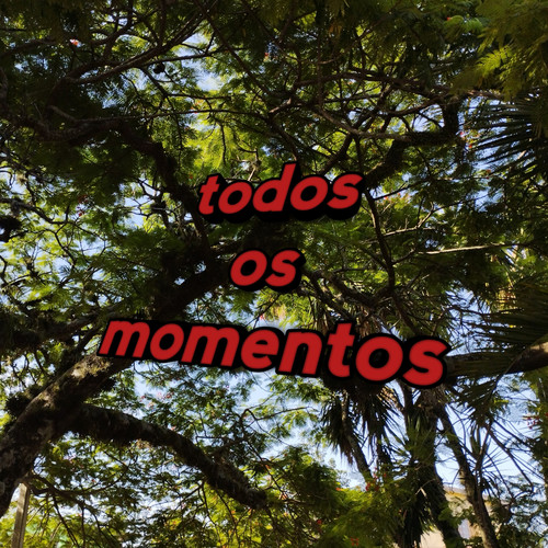 Todos os momentos