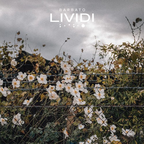 Lividi