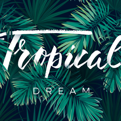 Tropical Dream