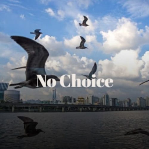 No Choice