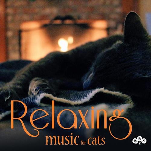 Relaxing Music for Cats