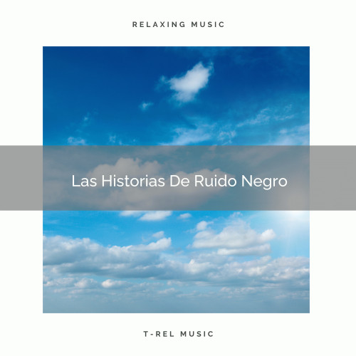 Las Historias De Ruido Negro