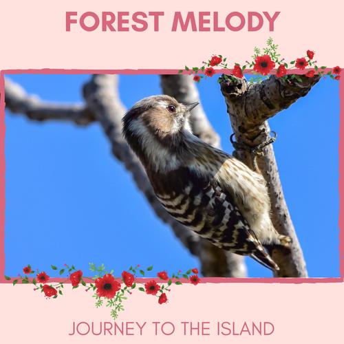 Forest Melody - Journey to The Island