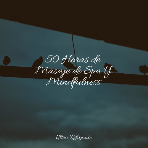 50 Horas de Masaje de Spa Y Mindfulness