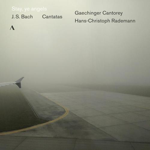 J. S. Bach: Cantatas