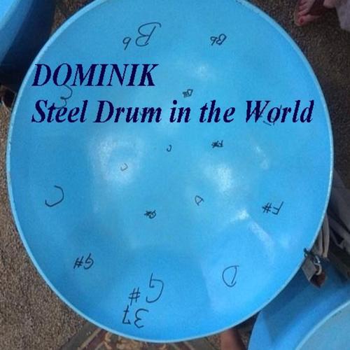 Dominik - Steel Drum in the World