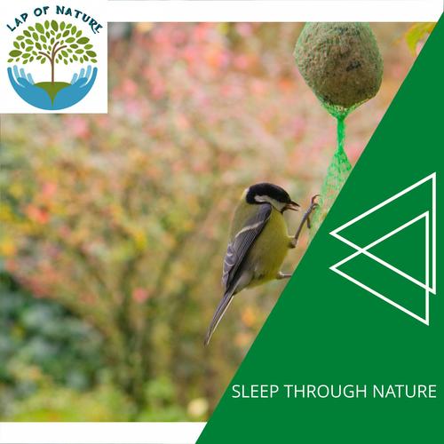 Sleep Through Nature