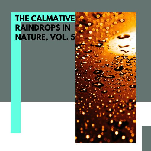 The Calmative Raindrops in Nature, Vol. 5