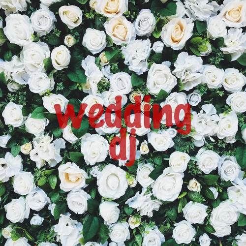 Wedding DJ (Explicit)