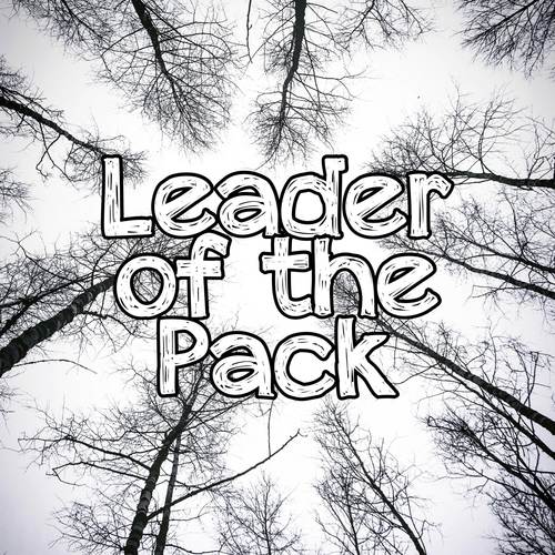 Leader of the Pack