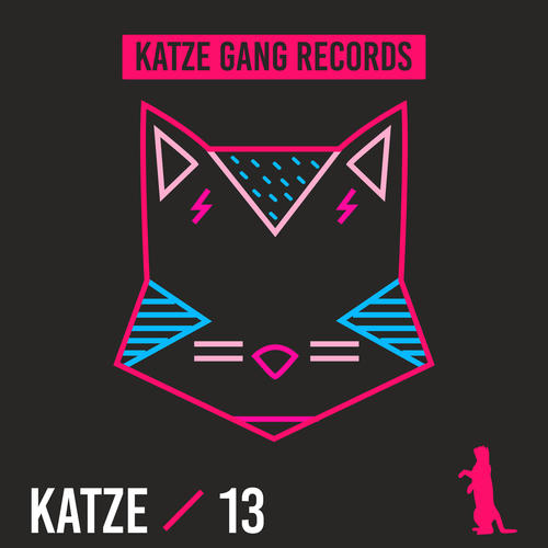 Katze 13