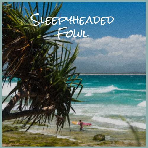 Sleepyheaded Fowl
