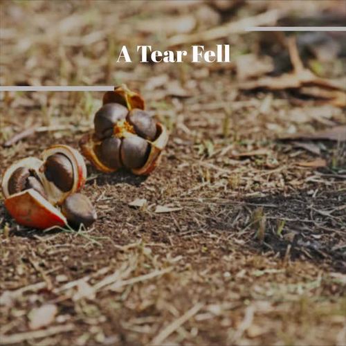 A Tear Fell