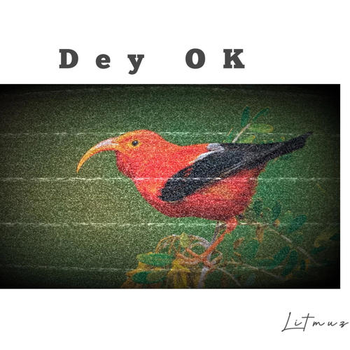 Dey Okay (feat. Azure_beats)