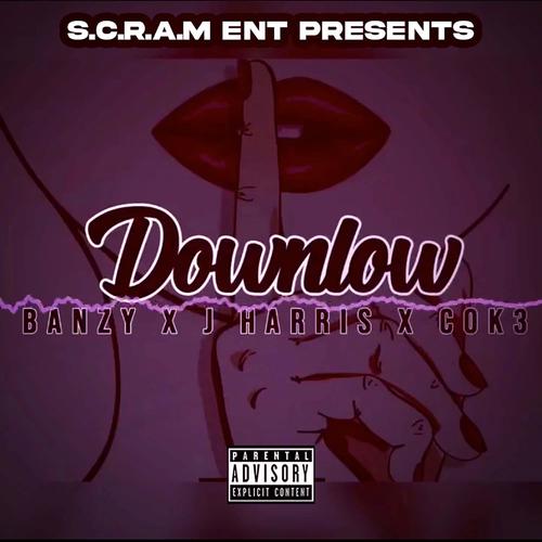 DownLow (feat. J Harris & Cok3) [Explicit]