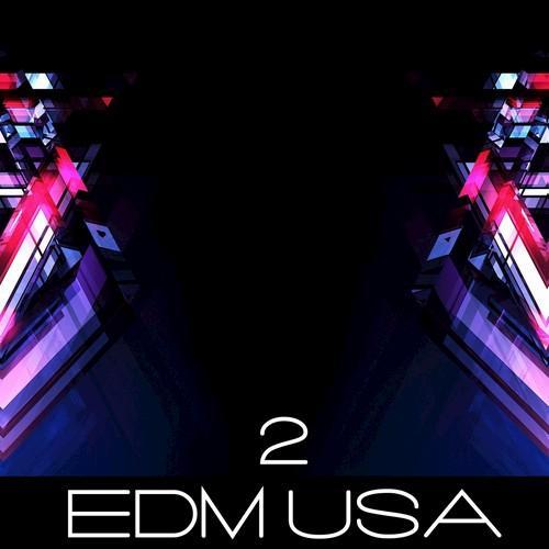 EDM USA, Vol. 2