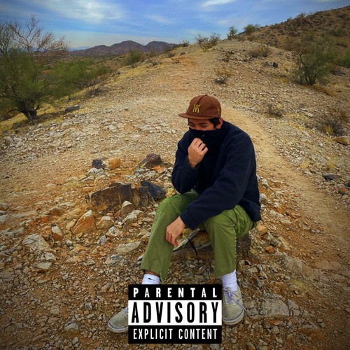 CACTI & GAMER GIRLS (Explicit)