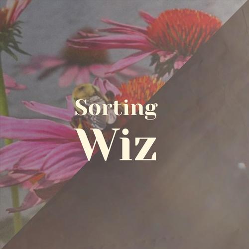 Sorting Wiz