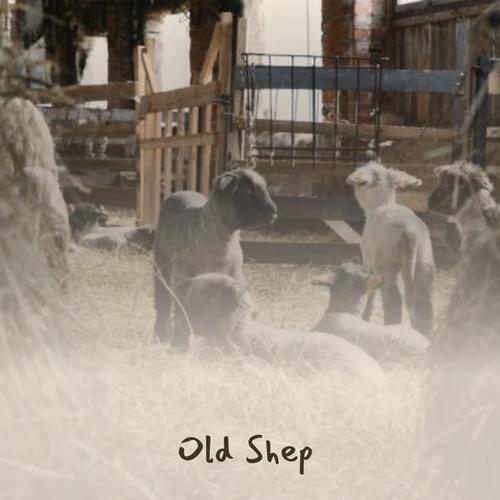 Old Sh - EP