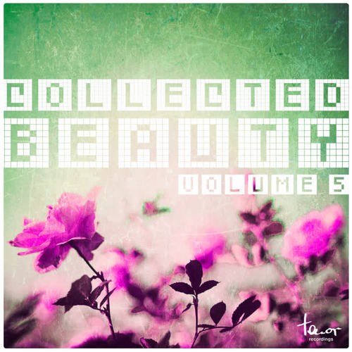 Collected Beauty, Vol. 5