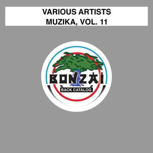 Muzika, Vol. 11