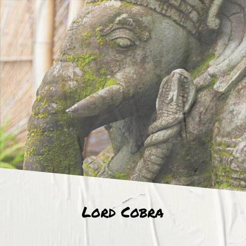 Lord Cobra