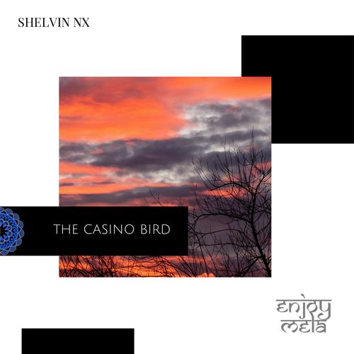 The Casino Bird