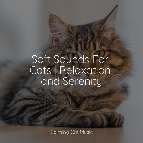 Soft Sounds For Cats | Relaxation and Serenity