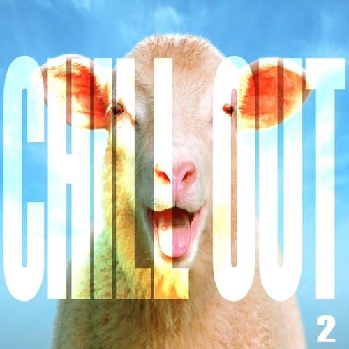 Chill Out, Vol. 2 (Brownsville Ambient White Sheep Pre-Election)