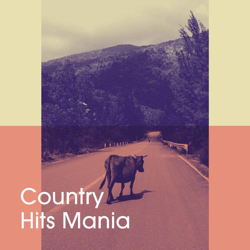 Country Hits Mania