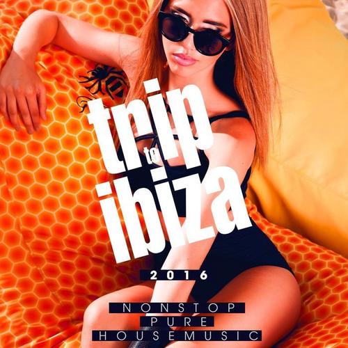 Trip To IBIZA 2016 - Nonstop Pure House Music