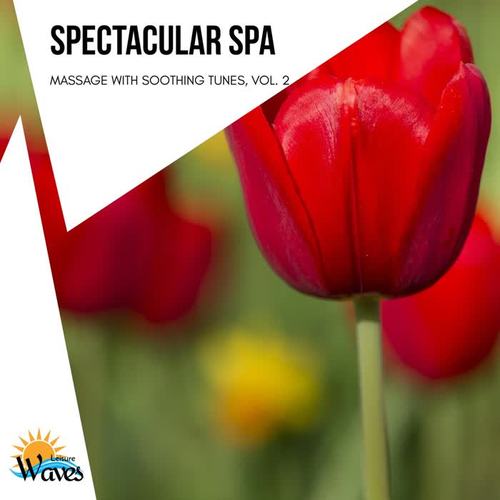 Spectacular Spa - Massage with Soothing Tunes, Vol. 2