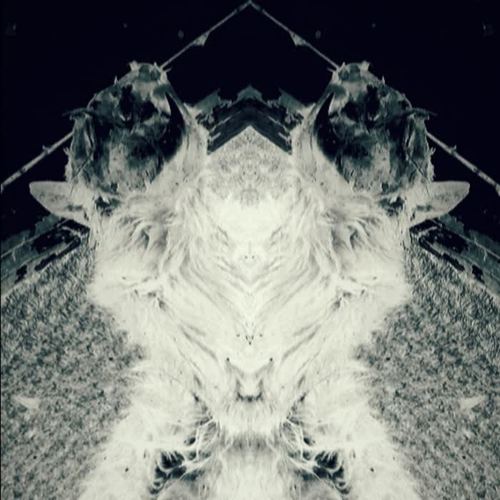 Pop Culture Locusts (Explicit)