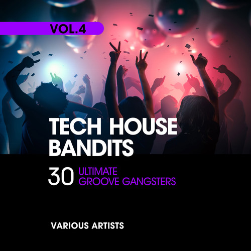 Tech House Bandits (30 Ultimate Groove Gangsters), Vol. 4