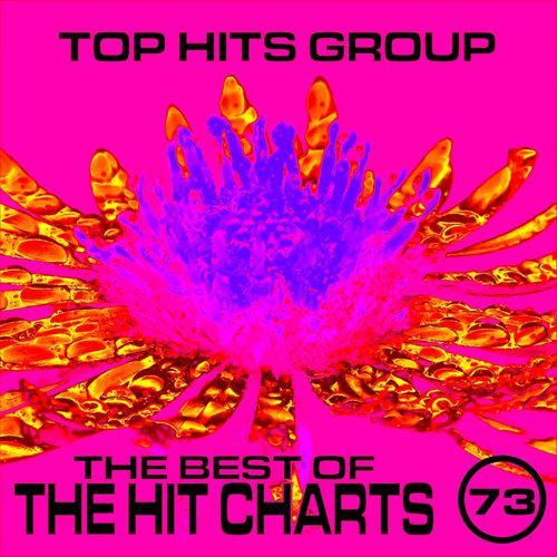 The Best of the Chart Hits, Vol. 73