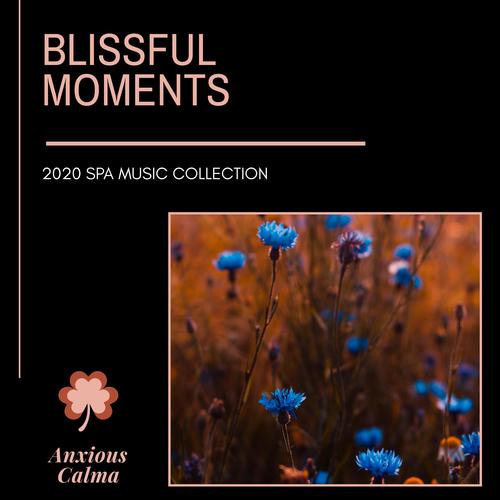 Blissful Moments - 2020 Spa Music Collection