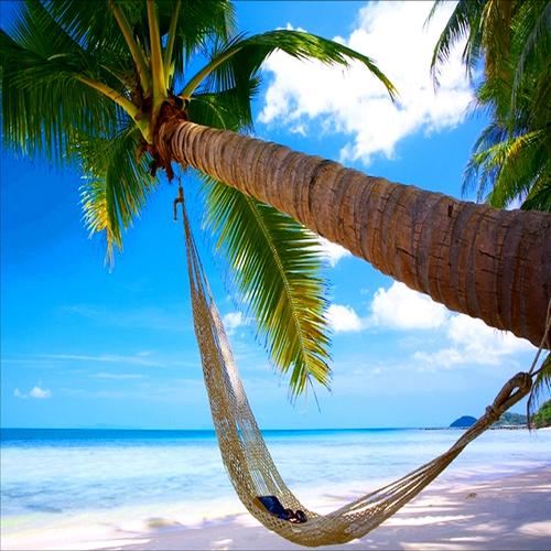 Christmas in Paradise