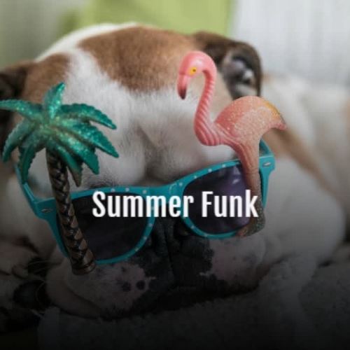 Summer Funk