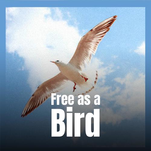 Free as a Bird