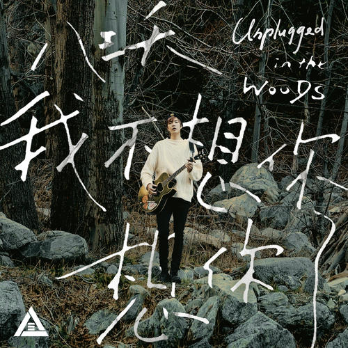 我不想你想你了 (Unplugged in the Woods)